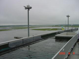 �J�̐V��΋�`