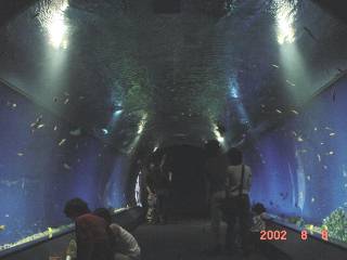 �W���x�G�U��