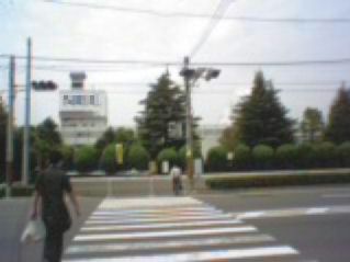 ���l���Ə�