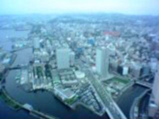 �R������-���؊X-���l�X�^�W�A��